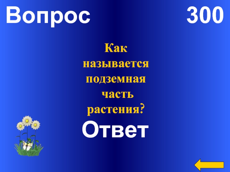 300 вопросов 300 ответов. 300 Вопросов. Тремястами вопросами. Как называется будущий цветок ответ. Вопрос за 300.