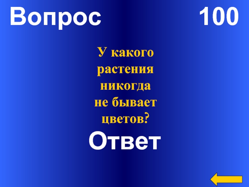 100 ответов. 100 Вопросов. 100 100 Ответ. Вопрос ответ цветами.