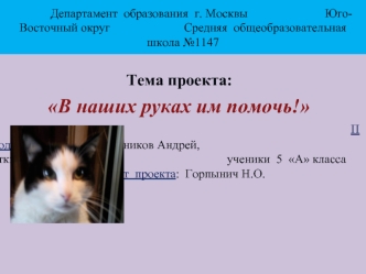 Тема проекта:	
			 В наших руках им помочь!																																												Подготовила проект: Линников Андрей,  								Уткина Людмила,								ученики  5  А класса				Консультант  проекта:  Горпынич Н.О.