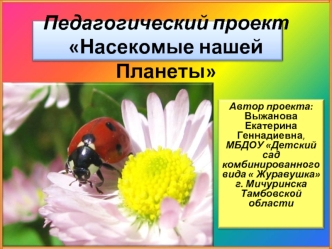 Педагогический проектНасекомые нашей Планеты
