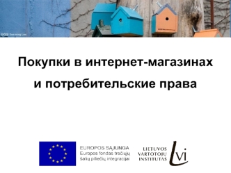 Покупки в интернет-магазинах 
и потребительские права