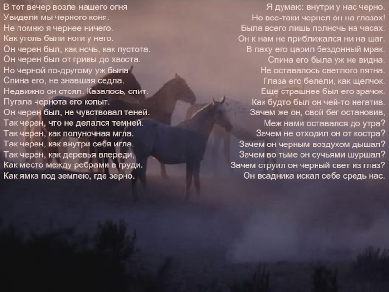 В тот вечер возле нашего огня. Бродский про коня. Черный конь Бродский. В тот вечер возле нашего огня увидели мы чёрного коня.. Бродский стих про лошадь.