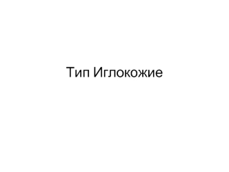 Тип Иглокожие