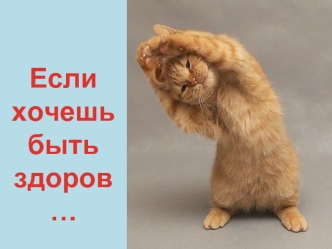 Если хочешь быть здоров…