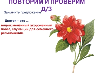 ПОВТОРИМ И ПРОВЕРИМ Д/З