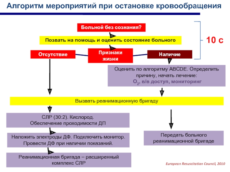 Алгоритм диагностики внезапной смерти схема