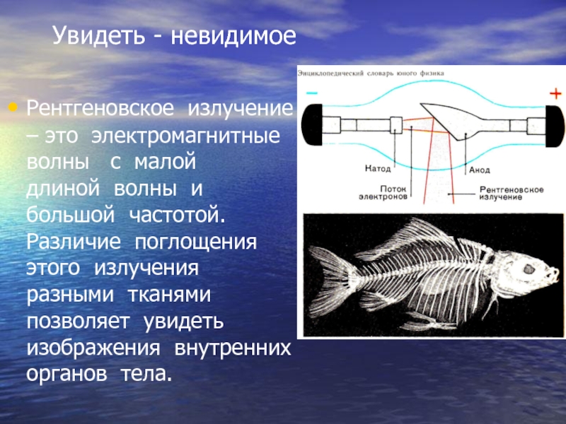 Проект видеть невидимое