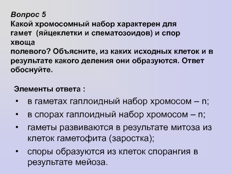 Хромосомный набор хвоща полевого. Спора хвоща полевого хромосомный набор. Жизненный цикл хвоща с набором хромосом. Хвощ полевой хромосомный набор. Какой хромосомный набор характерен для.