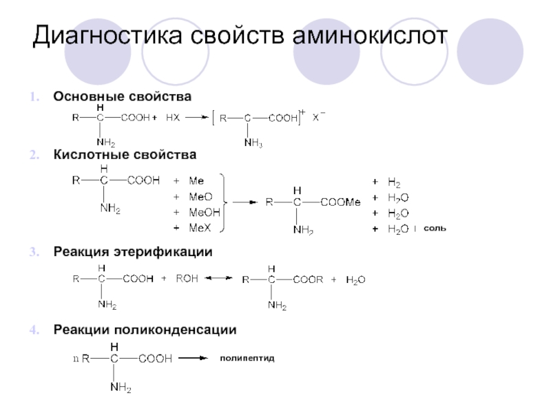 На первом длительном и тщательно распланированном собрании руководитель проекта должен