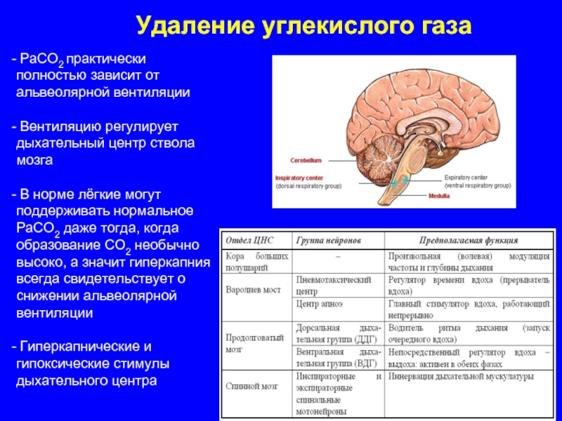 Исследовательский проект по биологии 8 класс