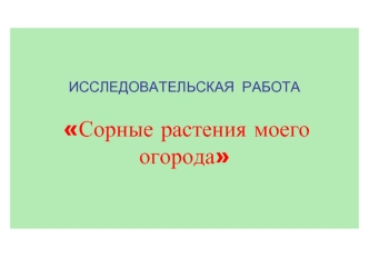 ИССЛЕДОВАТЕЛЬСКАЯ  РАБОТА                             Сорные растения моего огорода