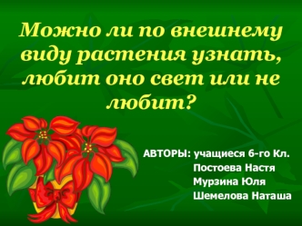 Можно ли по внешнему виду растения узнать, любит оно свет или не любит?