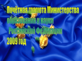 Почётная грамота Министерства 
образования и науки
  Российской Федерации
2009 год