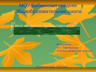 МОУ Бабкинская средняя
Общеобразовательная школа