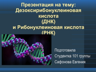 Дезоксирибонуклеиновая кислота (ДНК) и Рибонуклеиновая кислота (РНК)