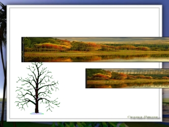 Защо се сменят сезоните