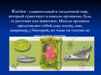 Клетка - удивительный и загадочный мир, который существует в каждом организме, будь то растение или животное. Иногда организм представляет собой одну клетку, как, например, у бактерий, но чаще он состоит из миллионов клеток.