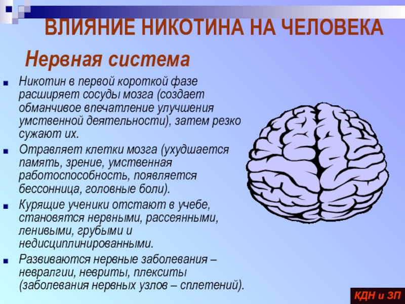 Умственная работоспособность. Отравление клеток мозга. Уточненные поражения сосудов мозга.