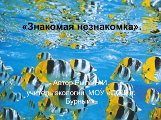 Знакомая незнакомка.