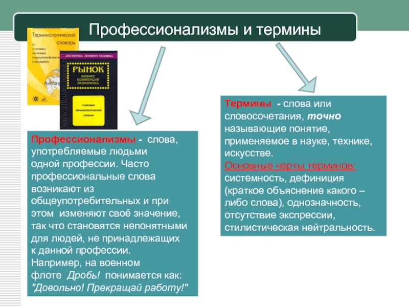 Особенности профессиональной лексики проект