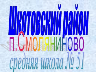 Шкотовский район