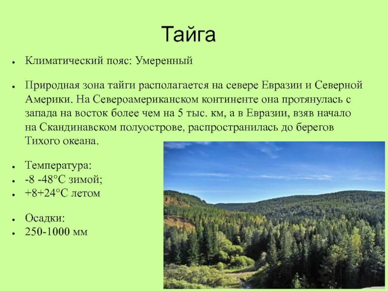Какие леса в евразии. Природные зоны Евразии Тайга. Климатические условия тайги. Тайга климатические полюс. Тайга климатический пояс.