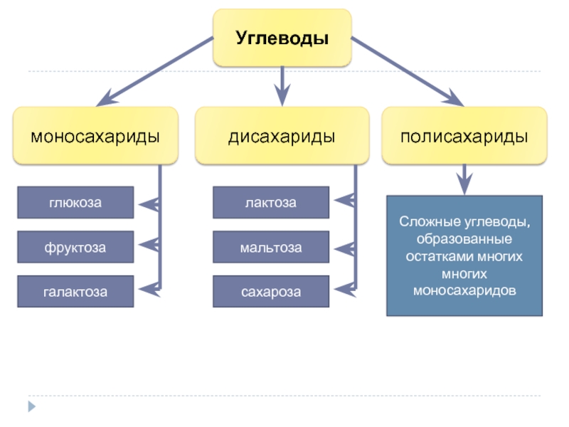 Углеводами образованы. Какие структуры в клетке образованы углеводами. Какие структуры образуют углеводы. Структуры образованные углеводами. Какие структуры в организмах образованы углеводами.