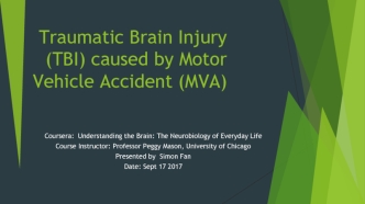 The-Left-Brain-Hurts-R1