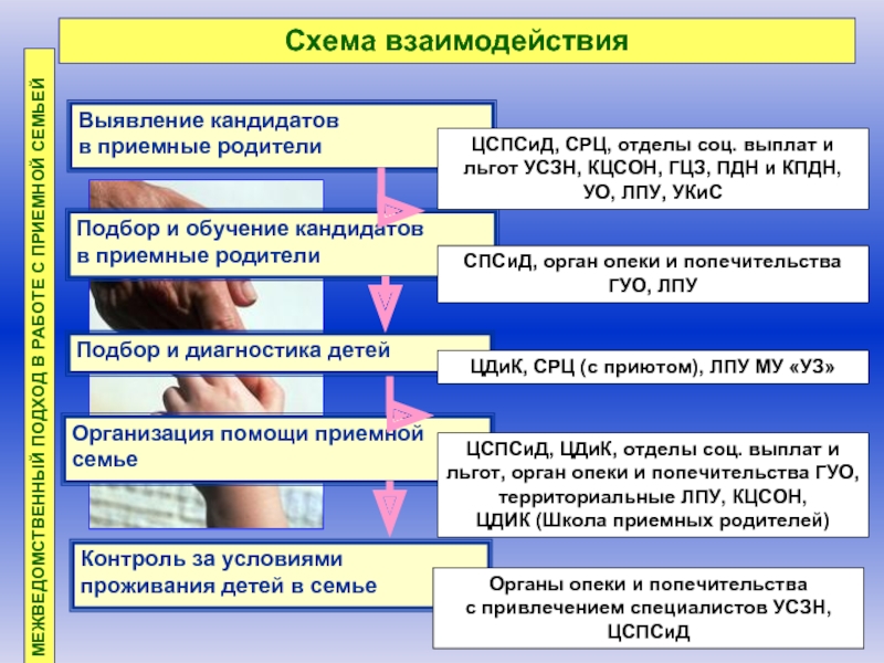 План развития приемной семьи беларусь образец