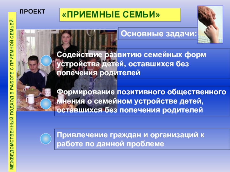 Содействие устройству детей в семьи проект