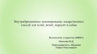 Внутрибрюшинное депонирование лекарственных смесей для телят, ягнят, поросят и собак
