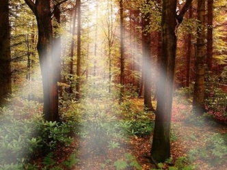 I.ТУР. Основы математики 10203040 Семь раз отмерь - один раз отрежь 10203040 Логические задачи 10203040.