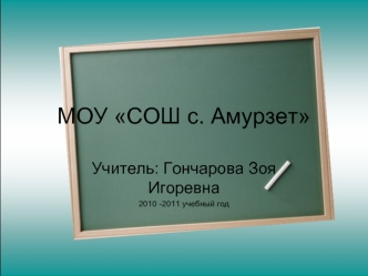 МОУ СОШ с. Амурзет