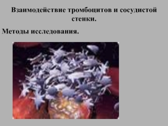 Взаимодействие тромбоцитов и сосудистой стенки. Методы исследования
