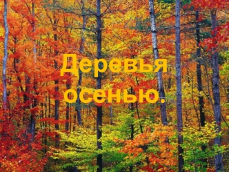 Деревья осенью