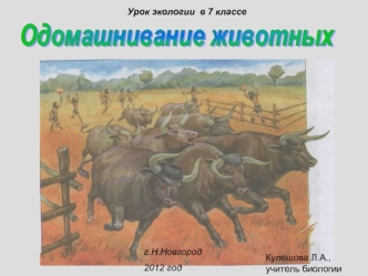 Урок экологии  в 7 классе