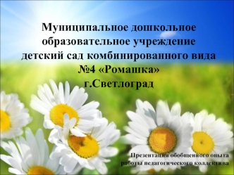 Муниципальное дошкольное образовательное учреждение детский сад комбинированного вида №4 Ромашка г.Светлоград