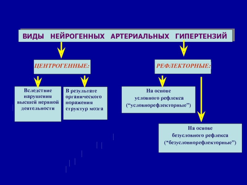 Первичная артериальная гипертензия презентация