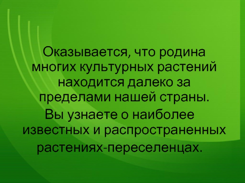 Культурное растение пришедшее к нам. Культурное растение пришедшее к нам из дальних стран. Культурное настение пришедшедшее из дальних Стоан. Пример культурного растения пришедшего к нам из дальних стран. Культурное растение пришедшие из дальних ССТРАН.