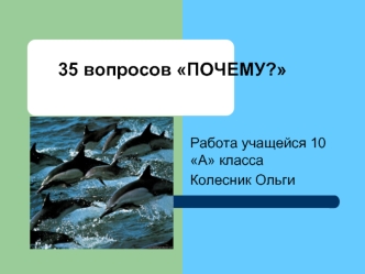 35 вопросов ПОЧЕМУ?