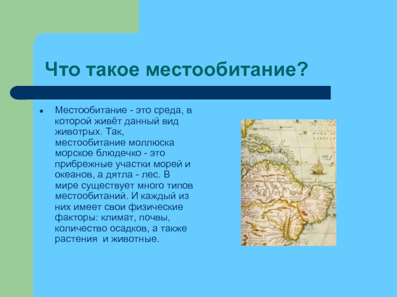 Место обитания. Местообитание это. Местообитание это в биологии. Место обитания место обитания.