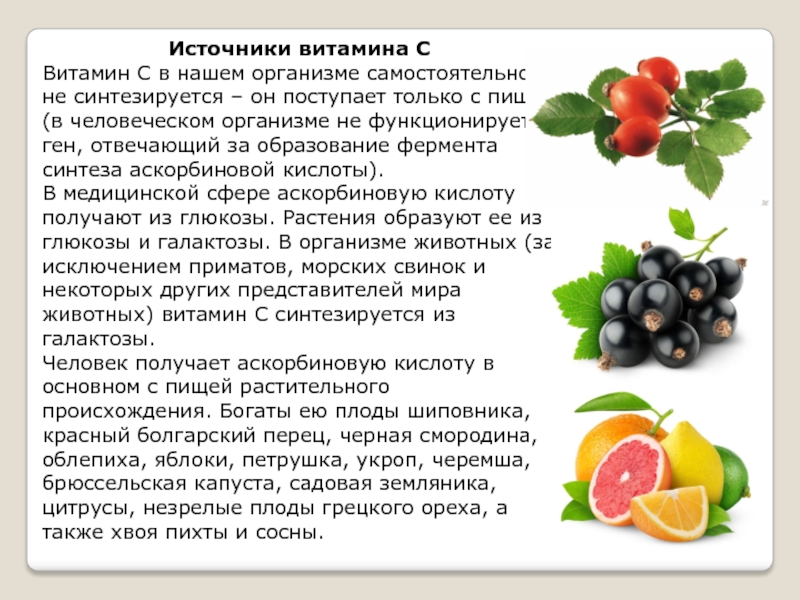 Какие продукты являются источником витамина c. Источники витамина с. Витамин а источники витамина. Природные источники витамина с. Основные источники витамина с в питании.