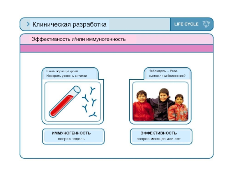 Эффективность разработки. Клиническая разработка. Наблюдаемый уровень.