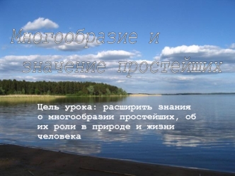 Многообразие и
 значение простейших