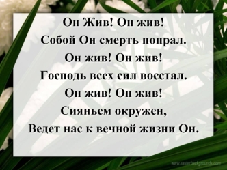 Он Жив! Он жив! 
Собой Он смерть попрал.
Он жив! Он жив! 
Господь всех сил восстал.
Он жив! Он жив! 
Сияньем окружен, 
Ведет нас к вечной жизни Он.