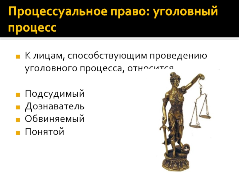 Процессуальное право презентация по обществознанию 10 класс