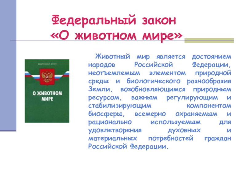 Закон о защите территории. Закон об охране окружающей среды о животном мире. Закон РФ О животном мире 1995. Конституция об охране животного мира. Законы России об охране животных.