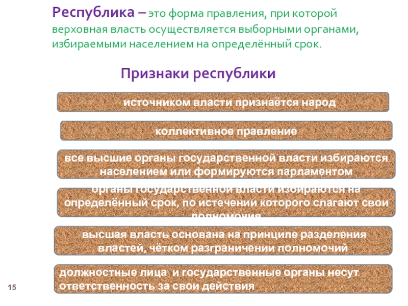 Государственные органы избираемые населением