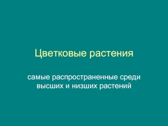 Цветковые растения
