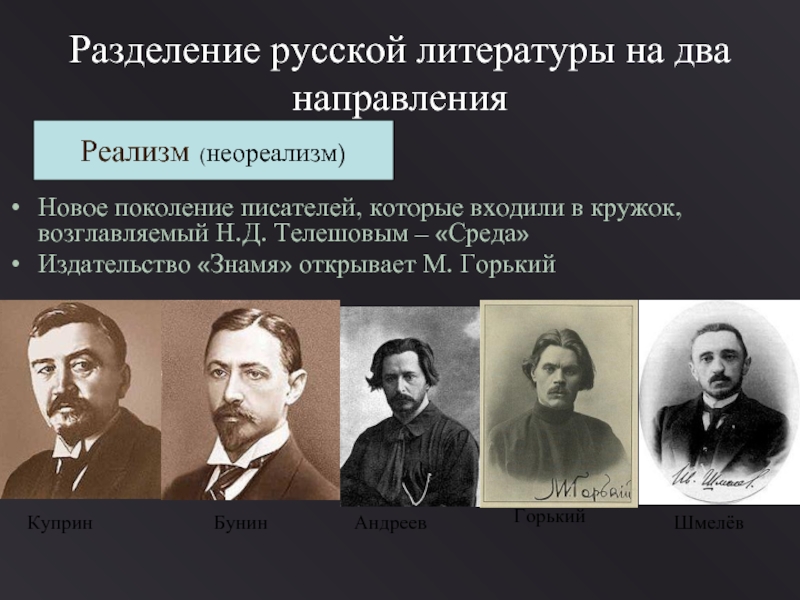 Сочинение: Русская литература конца 19 - начала 20 века